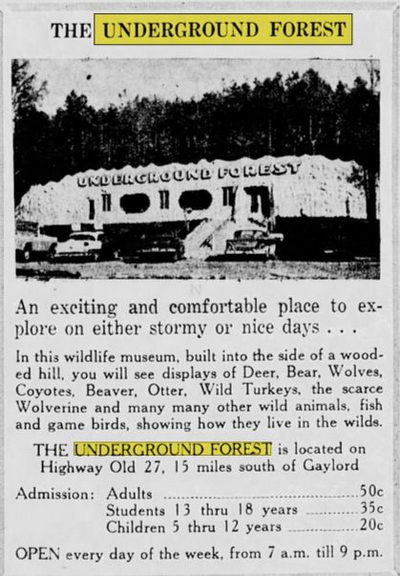 Underground Forest - 1963 Ad (newer photo)